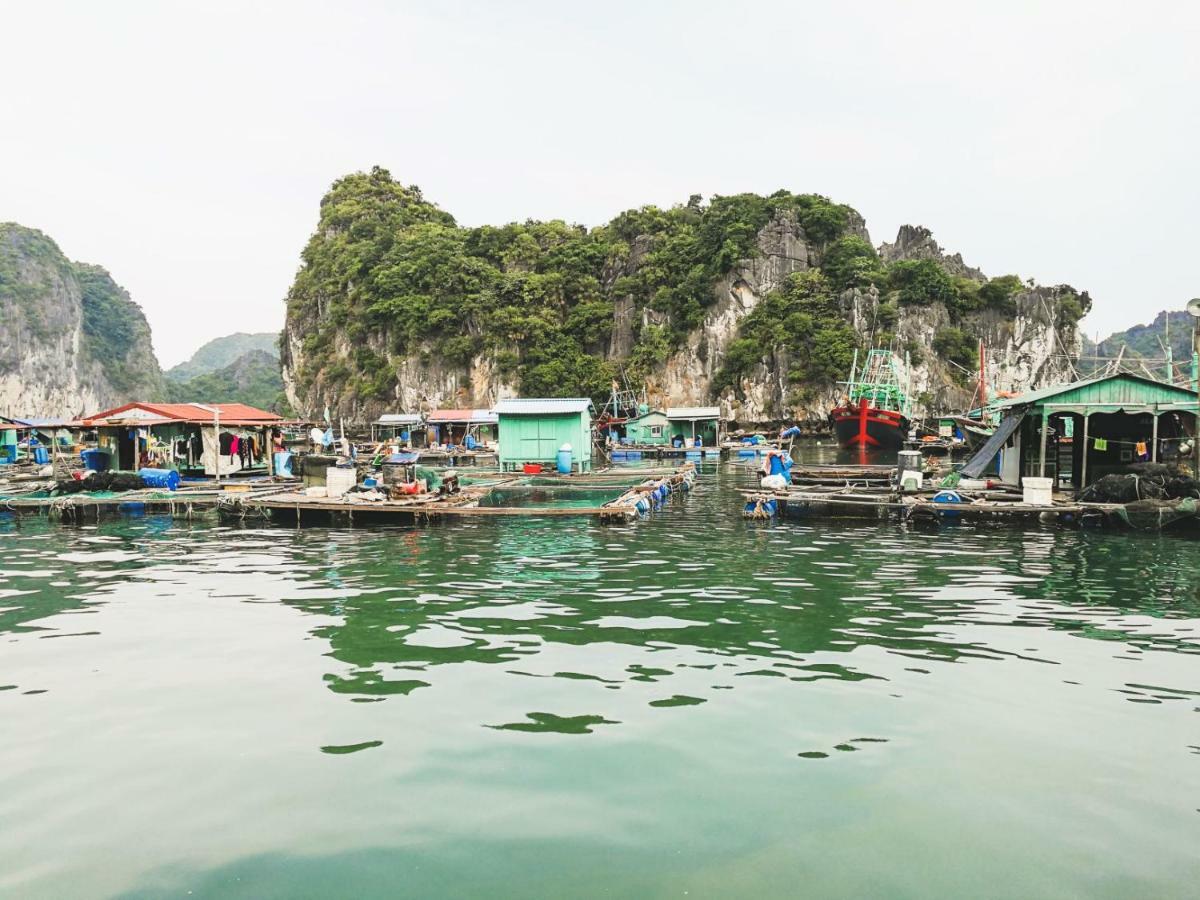 הלונג Heritage Line Ylang Cruise - Halong Bay & Lan Ha Bay מראה חיצוני תמונה