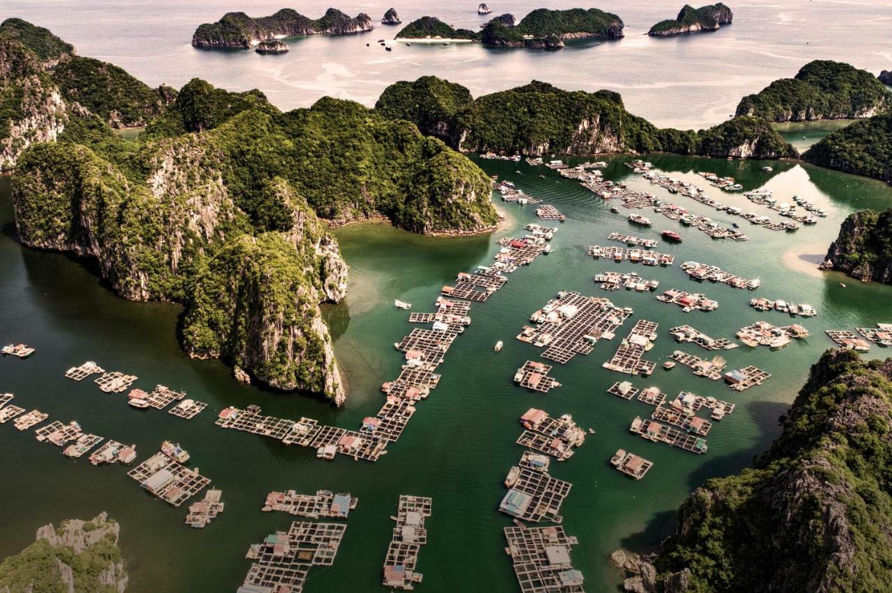 הלונג Heritage Line Ylang Cruise - Halong Bay & Lan Ha Bay מראה חיצוני תמונה